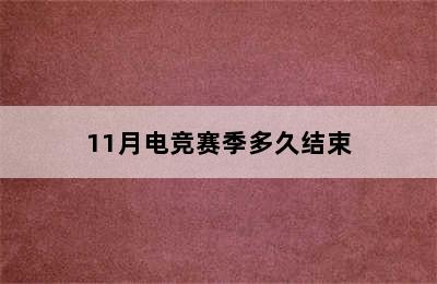 11月电竞赛季多久结束