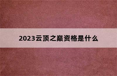 2023云顶之巅资格是什么