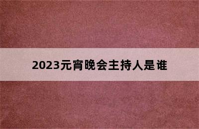 2023元宵晚会主持人是谁