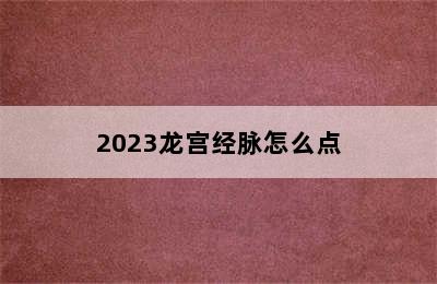 2023龙宫经脉怎么点