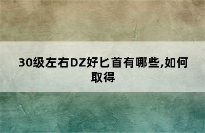 30级左右DZ好匕首有哪些,如何取得