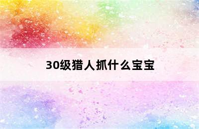 30级猎人抓什么宝宝