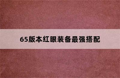 65版本红眼装备最强搭配