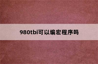 980tbi可以编宏程序吗