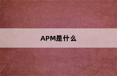 APM是什么