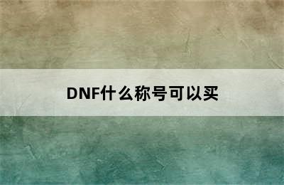 DNF什么称号可以买