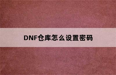 DNF仓库怎么设置密码
