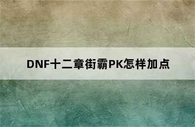 DNF十二章街霸PK怎样加点