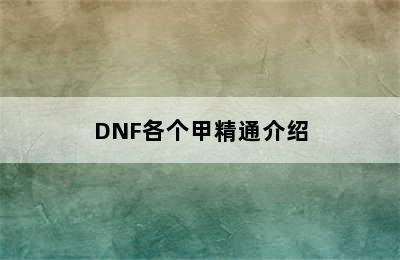 DNF各个甲精通介绍
