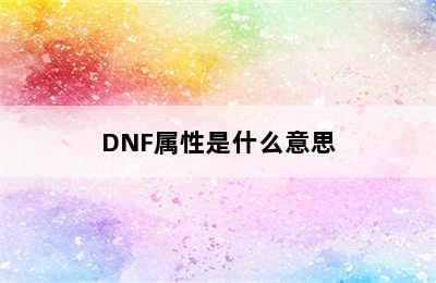 DNF属性是什么意思