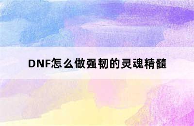 DNF怎么做强韧的灵魂精髓