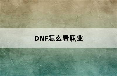 DNF怎么看职业