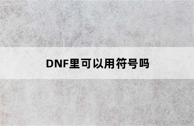 DNF里可以用符号吗