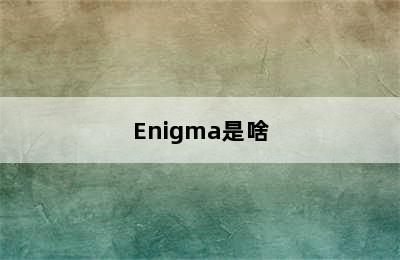 Enigma是啥