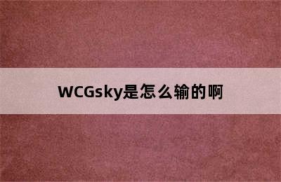 WCGsky是怎么输的啊