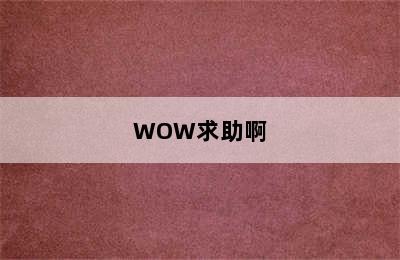 WOW求助啊