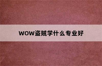 WOW盗贼学什么专业好