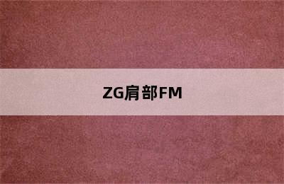 ZG肩部FM