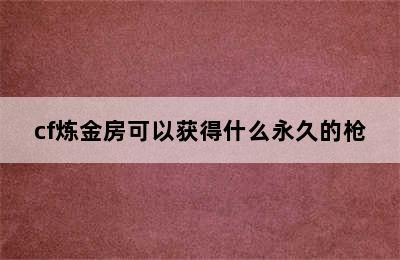 cf炼金房可以获得什么永久的枪