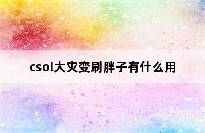 csol大灾变刷胖子有什么用