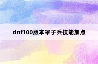 dnf100版本罩子兵技能加点