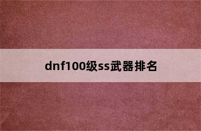 dnf100级ss武器排名