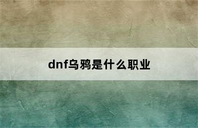 dnf乌鸦是什么职业