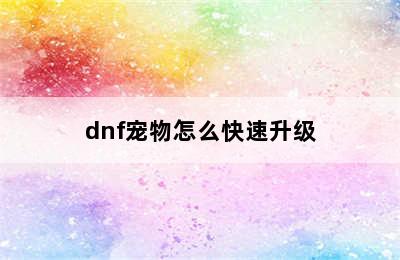 dnf宠物怎么快速升级