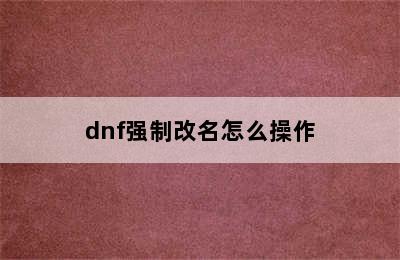 dnf强制改名怎么操作