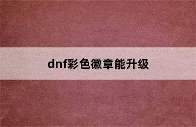 dnf彩色徽章能升级