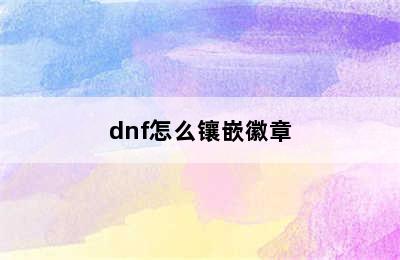 dnf怎么镶嵌徽章