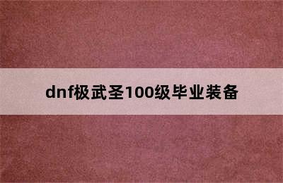 dnf极武圣100级毕业装备