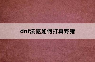 dnf法驱如何打真野猪