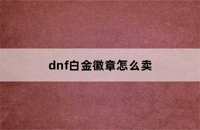 dnf白金徽章怎么卖