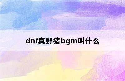 dnf真野猪bgm叫什么