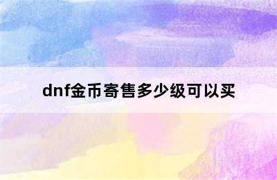 dnf金币寄售多少级可以买