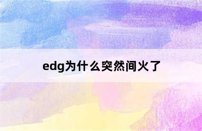 edg为什么突然间火了