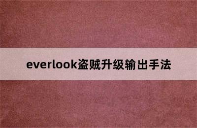 everlook盗贼升级输出手法