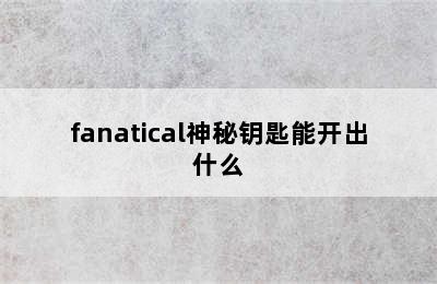 fanatical神秘钥匙能开出什么