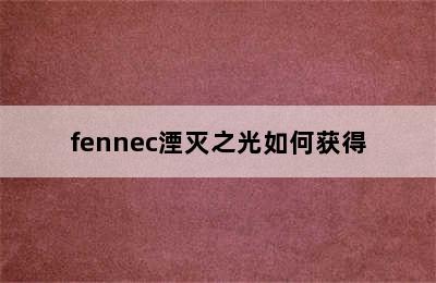 fennec湮灭之光如何获得