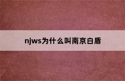 njws为什么叫南京白盾