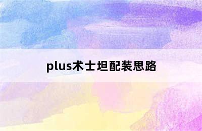 plus术士坦配装思路