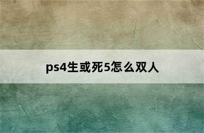 ps4生或死5怎么双人