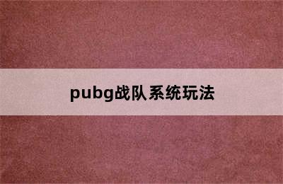 pubg战队系统玩法