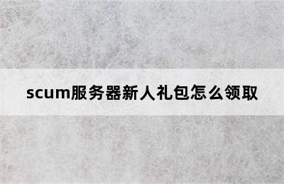 scum服务器新人礼包怎么领取