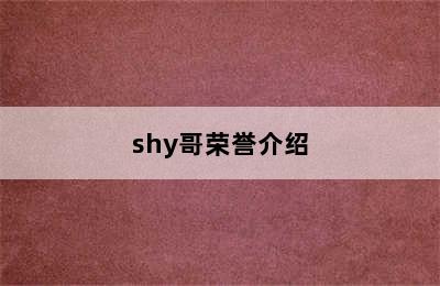 shy哥荣誉介绍