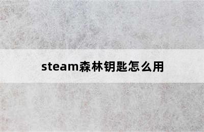 steam森林钥匙怎么用