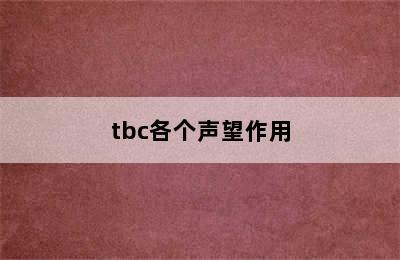 tbc各个声望作用