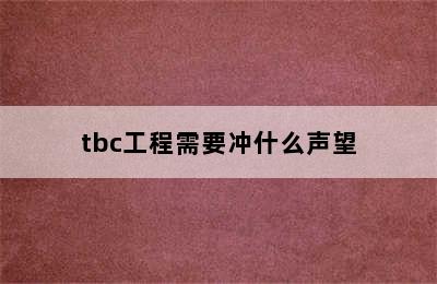 tbc工程需要冲什么声望