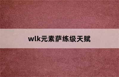 wlk元素萨练级天赋